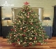 The 8ft Pre-lit Vivente Fir | Christmas Tree World